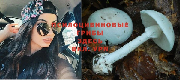герыч Богданович