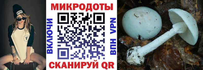 Галлюциногенные грибы MAGIC MUSHROOMS  Колпашево 